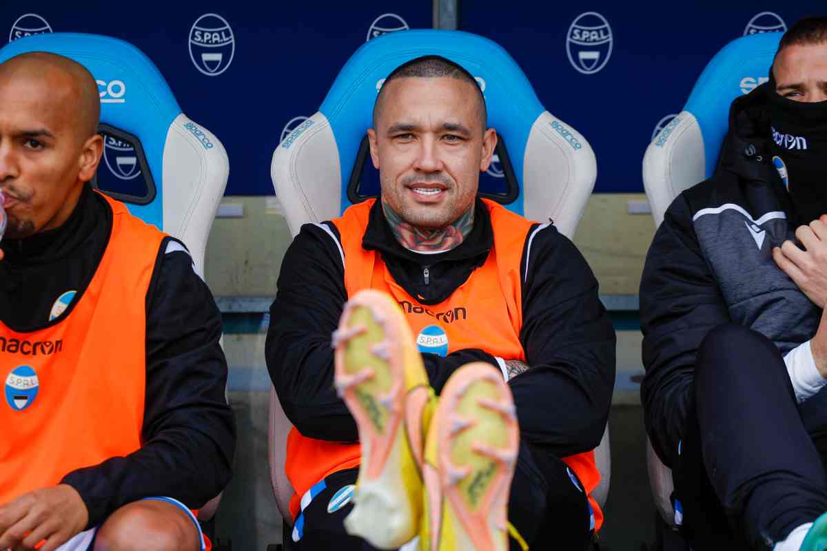 Radja Nainggolan 