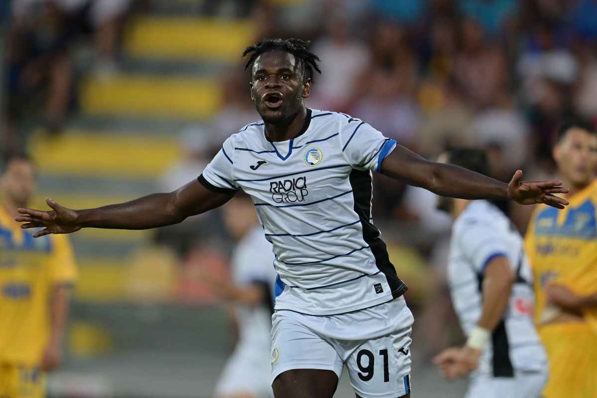 Zapata