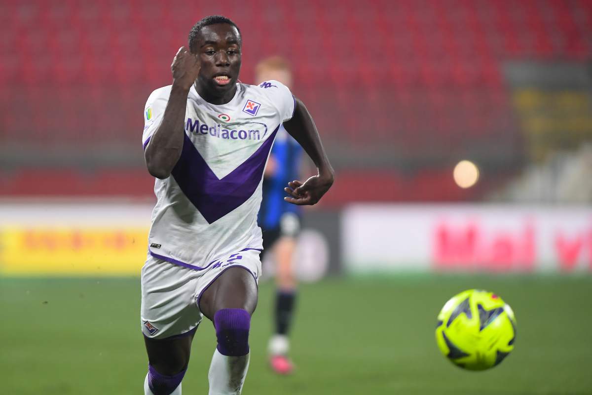 Fiorentina rinnovo Kayode