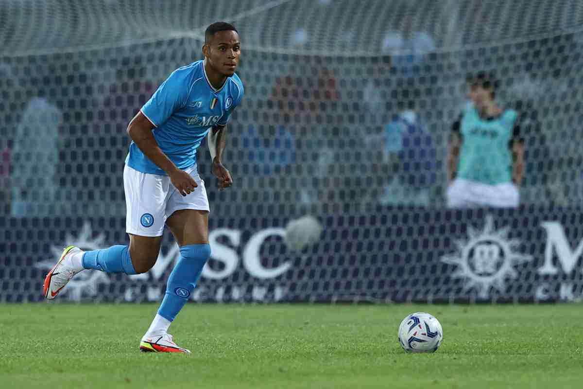natan napoli