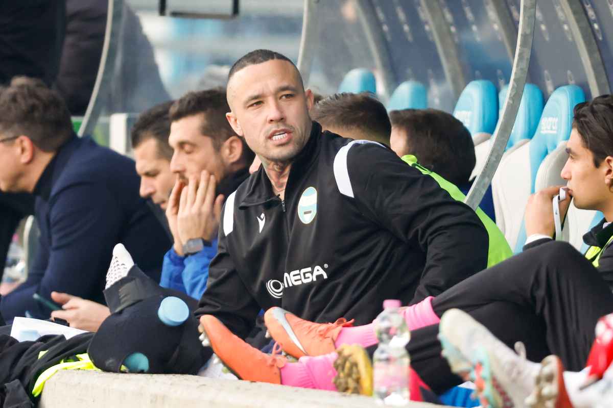 Roma Nainggolan 