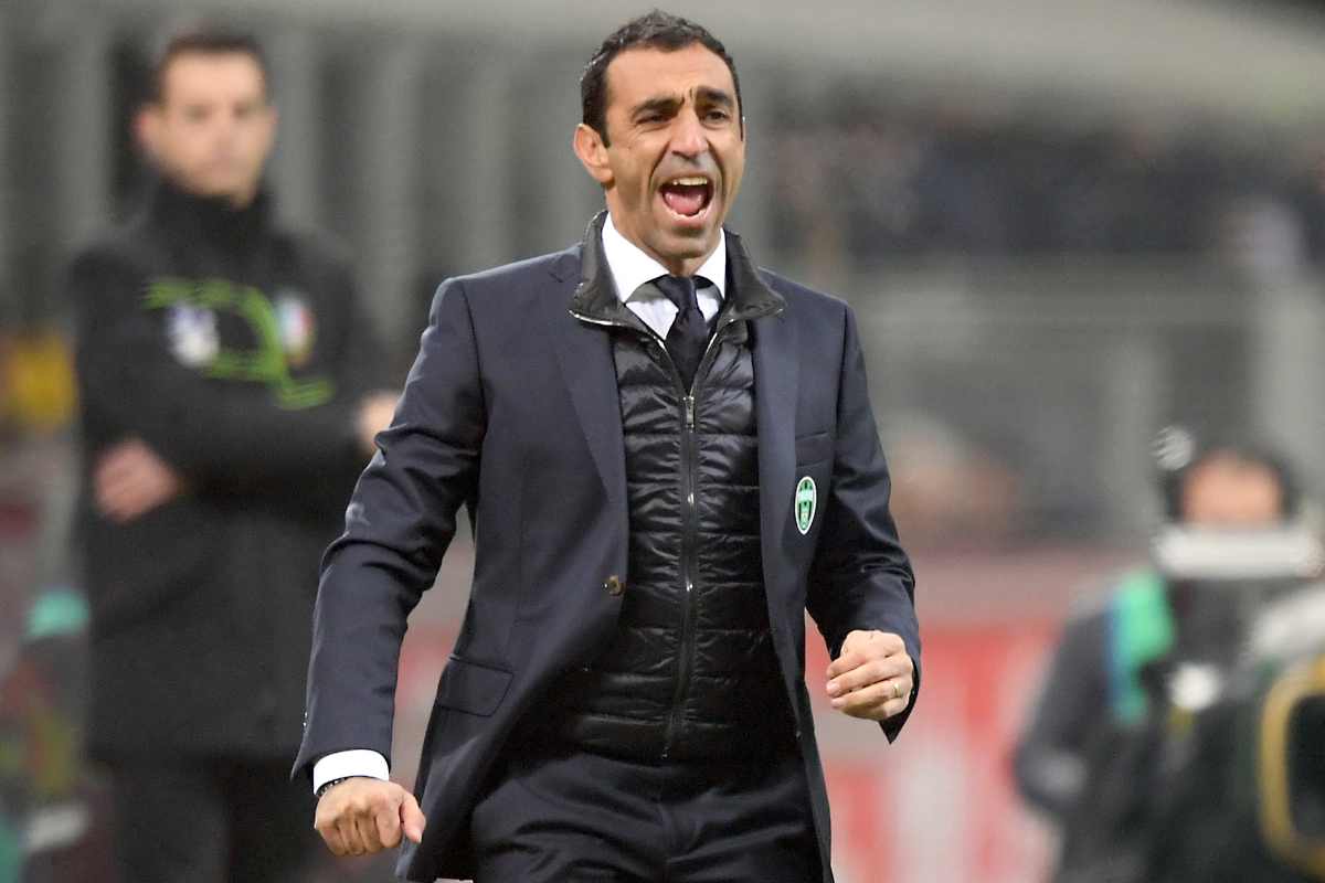 Colucci allenatore SPAL
