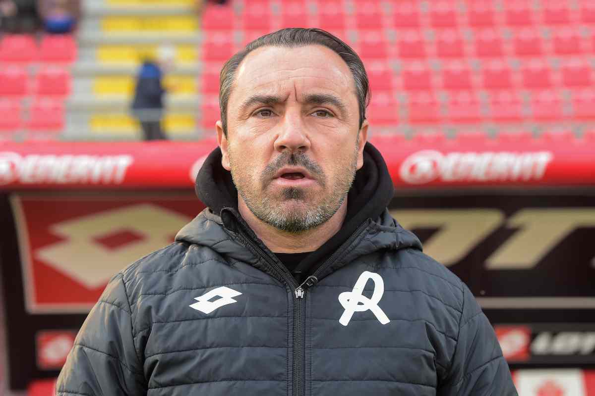 brocchi 